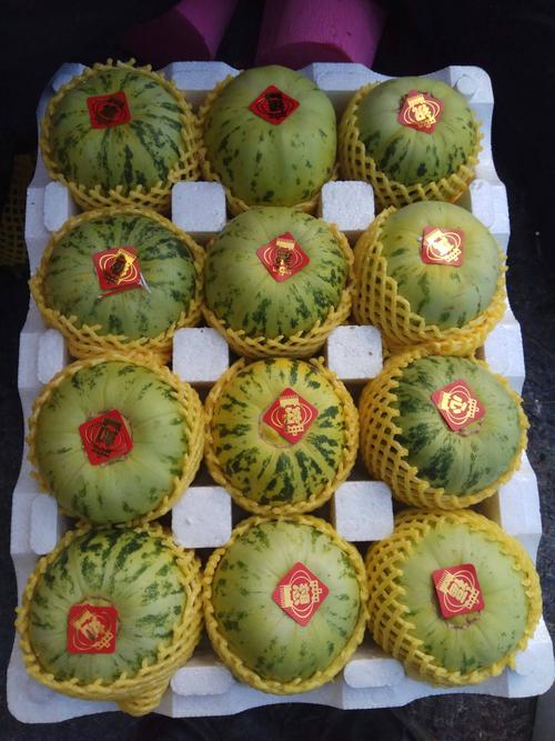 现代香瓜品种,到底哪家最好?-图3 现代香瓜品种,到底哪家最好?-图3