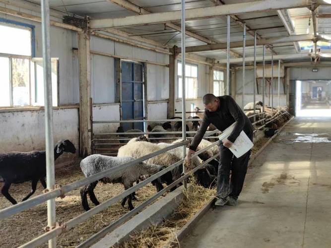 农村养殖技术视频如何有效播放？-图2