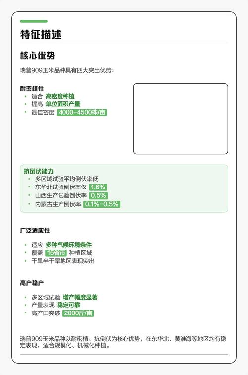 909玉米品种有哪些特点?-图1 909玉米品种有哪些特点?-图1