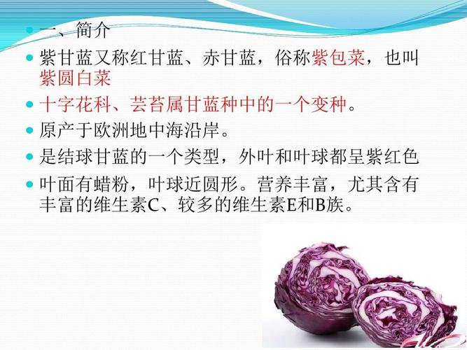 甘蓝栽培技术要点有哪些?-图1 甘蓝栽培技术要点有哪些?-图1