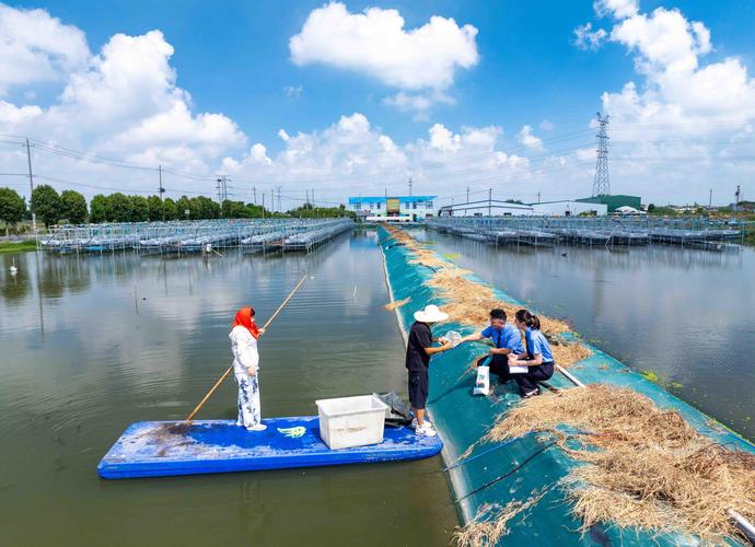 泉水养殖大闸蟹,如何攻克技术难点?-图1 泉水养殖大闸蟹,如何攻克技术难点?-图1