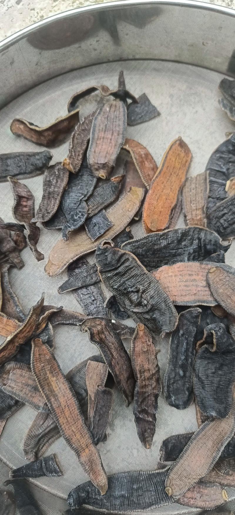 2025年蚂蟥价格会涨还是跌？-图2