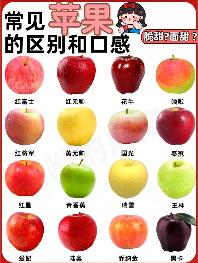 早熟苹果品种有哪些？-图1
