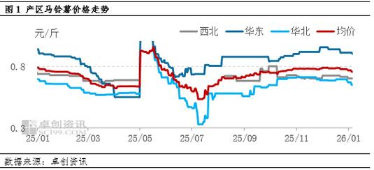 今年夏季土豆价格会涨还是跌？-图3