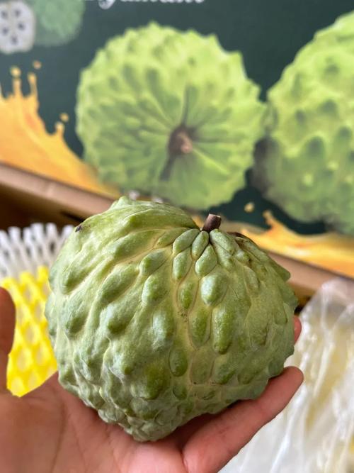 高档水果品种有哪些？-图1