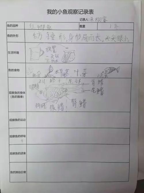 本周水产技术成长如何？关键收获有哪些？-图2