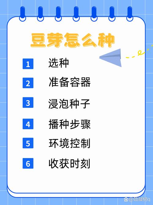 豆芽种植技术有哪些关键步骤？-图1