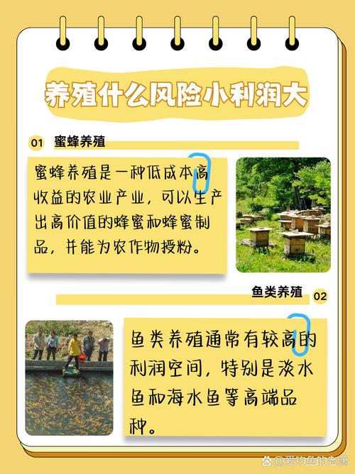 规模养殖技术从哪里来？-图3