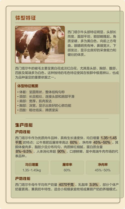 西门塔尔牛有哪些常见品种？-图1