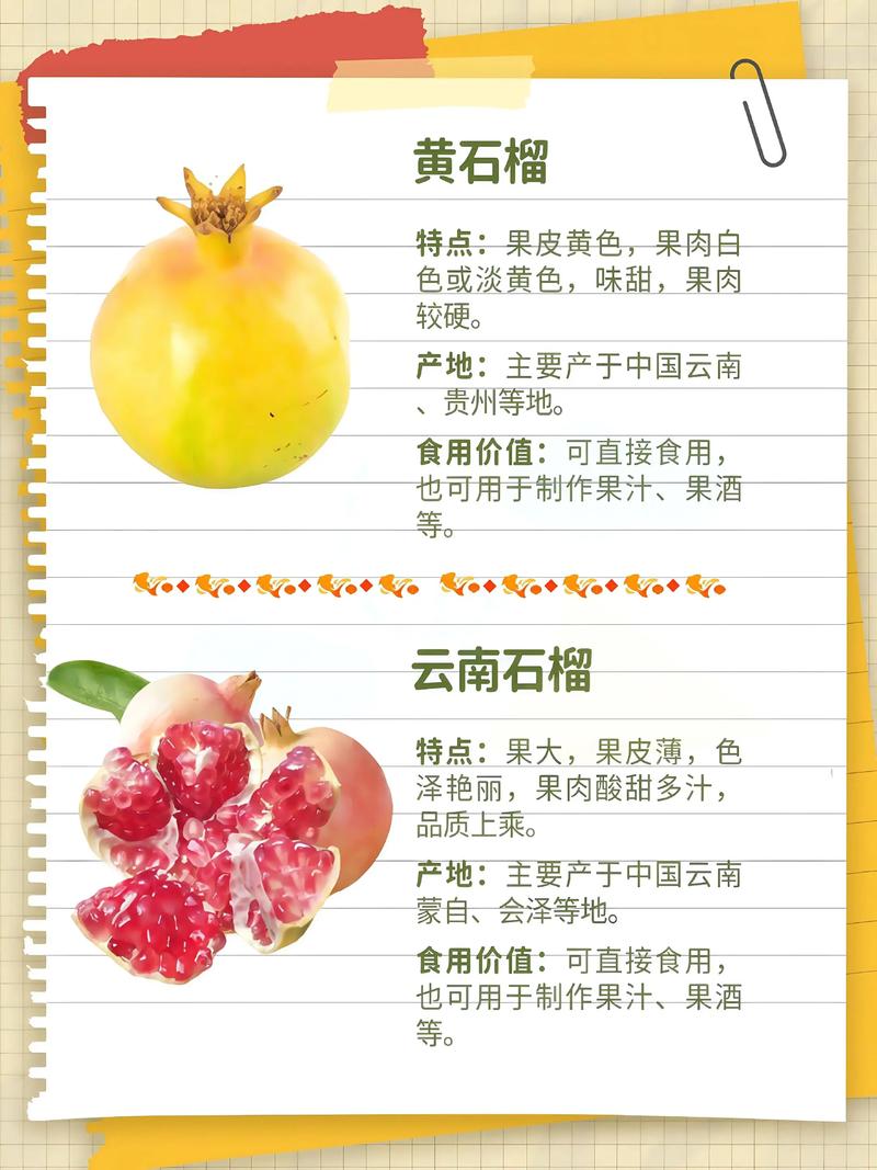 石榴有哪些颜色品种？-图1