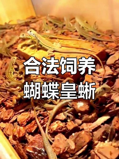 哪些品种适合人工养殖?-图2 哪些品种适合人工养殖?-图2