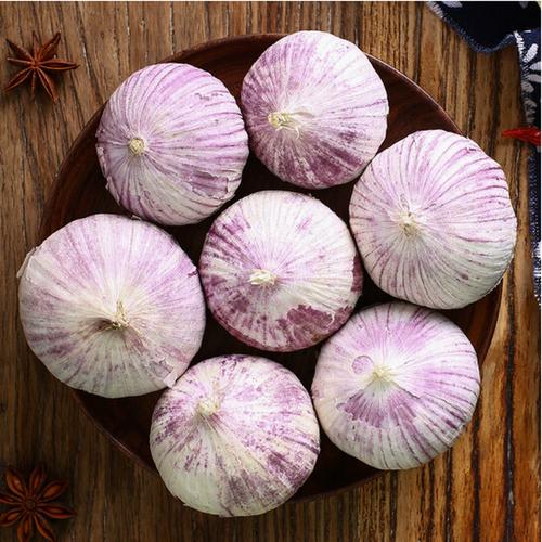 2025云南鲜蒜价格会涨还是跌？-图1