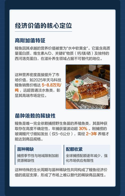 2025年鳗鱼年底价格会涨还是跌？-图1