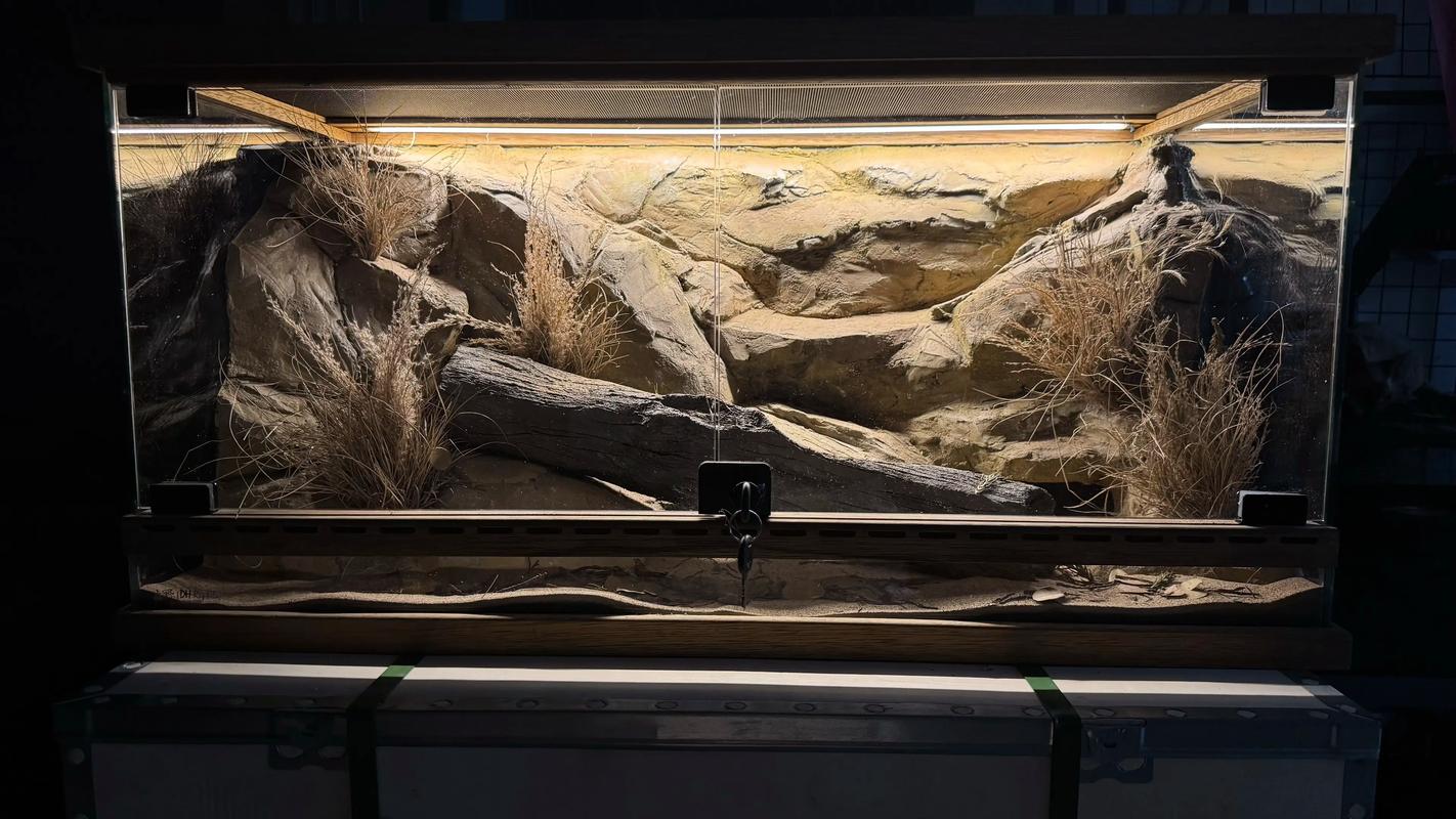 蜥蜴养殖场地视频技术要点有哪些?-图1 蜥蜴养殖场地视频技术要点有哪些?-图1