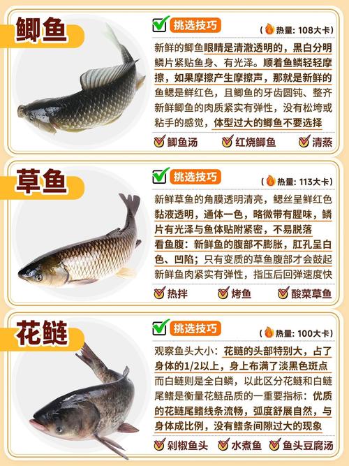 水产养殖品种选育有哪些关键方向?-图2 水产养殖品种选育有哪些关键方向?-图2