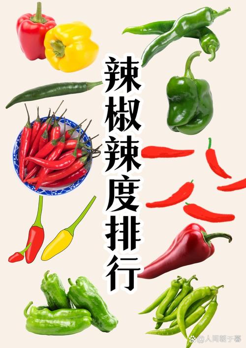 所有辣椒品种图片大全，有哪些常见品种？-图3