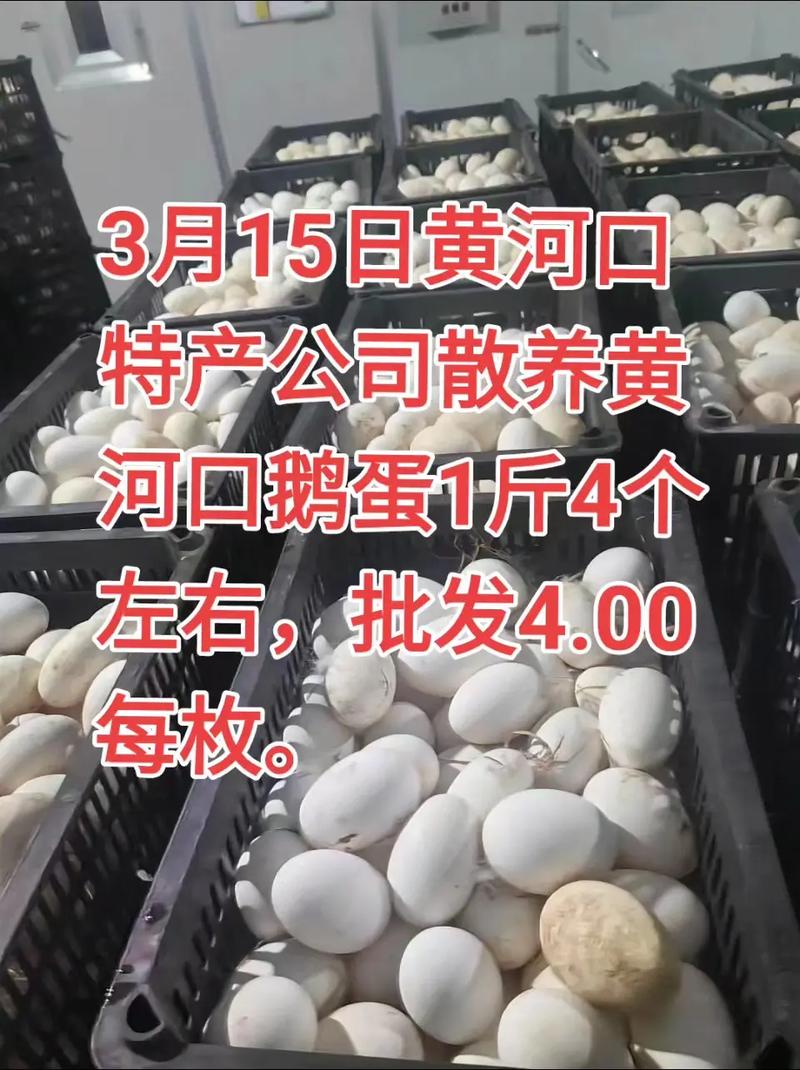 2025年种鹅蛋价格会涨还是跌?-图2 2025年种鹅蛋价格会涨还是跌?-图2