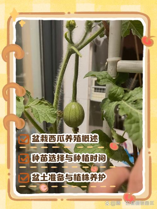 西瓜视频养殖技术靠谱吗？-图1