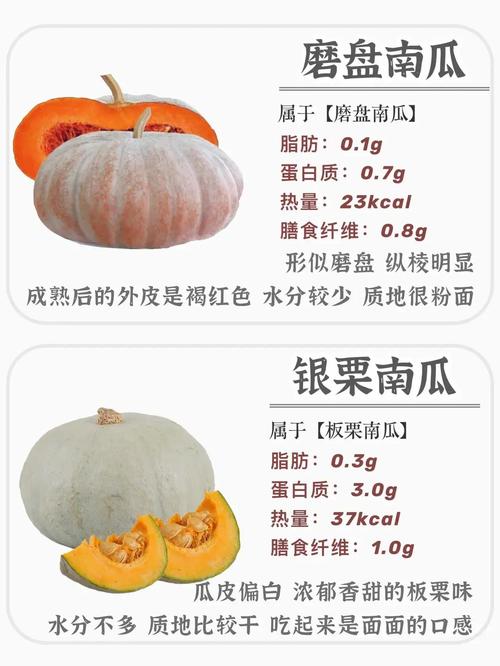 南瓜品种那么多，到底哪种最好？-图3