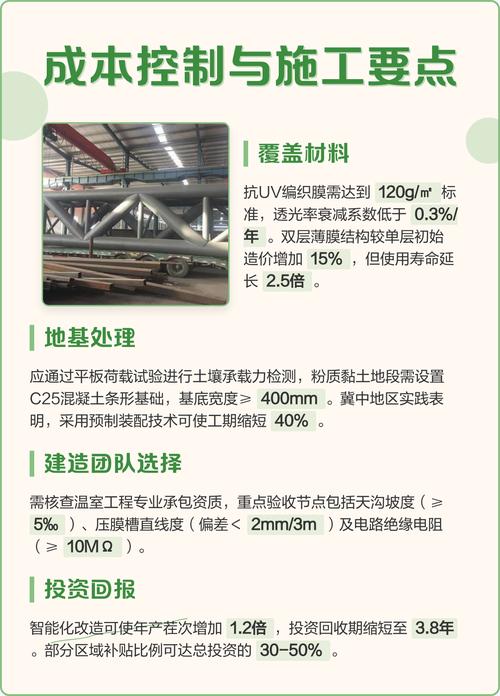 大棚蔬菜种植管理有哪些关键技术？-图1