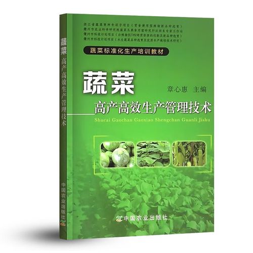 大棚蔬菜种植管理有哪些关键技术？-图2