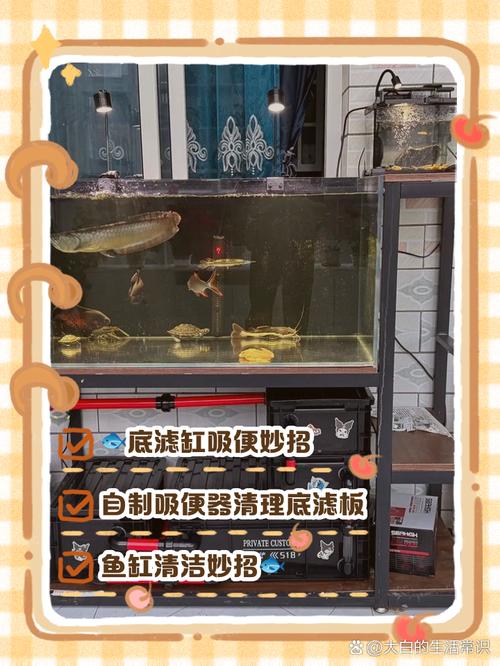 网箱养鱼粪便如何高效收集？-图1