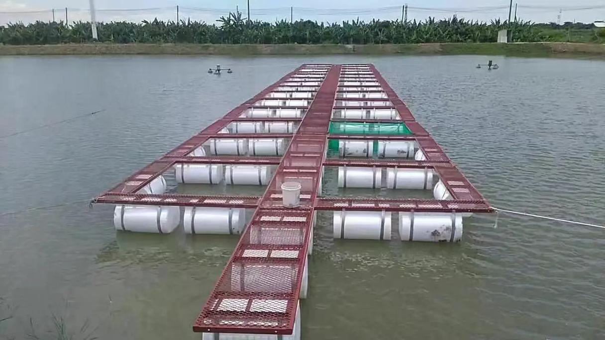 网箱养鱼粪便如何高效收集？-图3