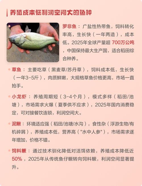 2025年养殖鱼价格会涨还是跌？-图3