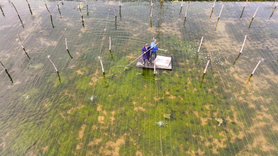 河水饮用池塘养鱼技术可行吗?-图1 河水饮用池塘养鱼技术可行吗?-图1