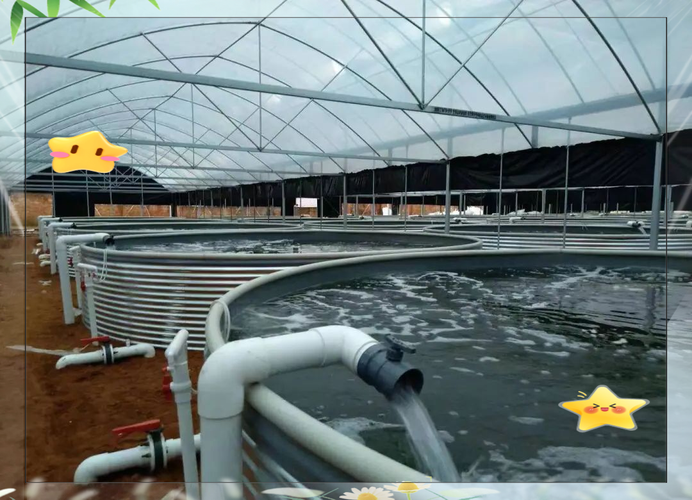 河水饮用池塘养鱼技术可行吗?-图3 河水饮用池塘养鱼技术可行吗?-图3