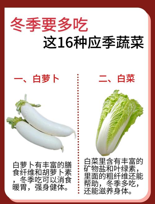冬季常见蔬菜品种有哪些?-图1 冬季常见蔬菜品种有哪些?-图1