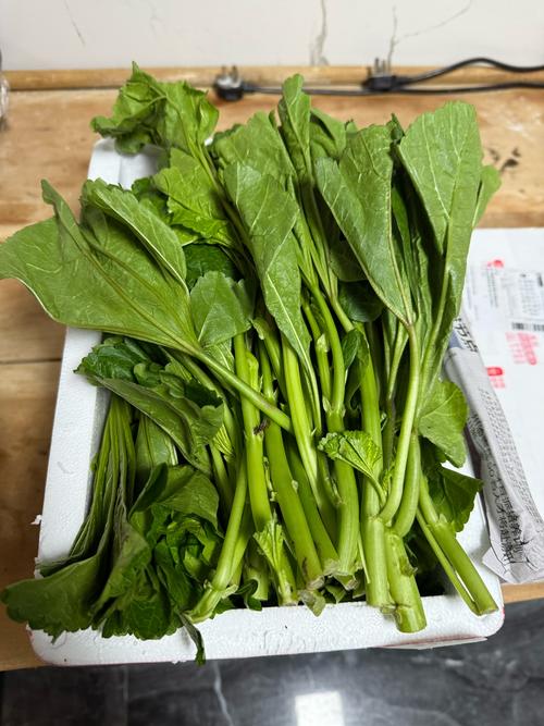 冬季常见蔬菜品种有哪些?-图3 冬季常见蔬菜品种有哪些?-图3