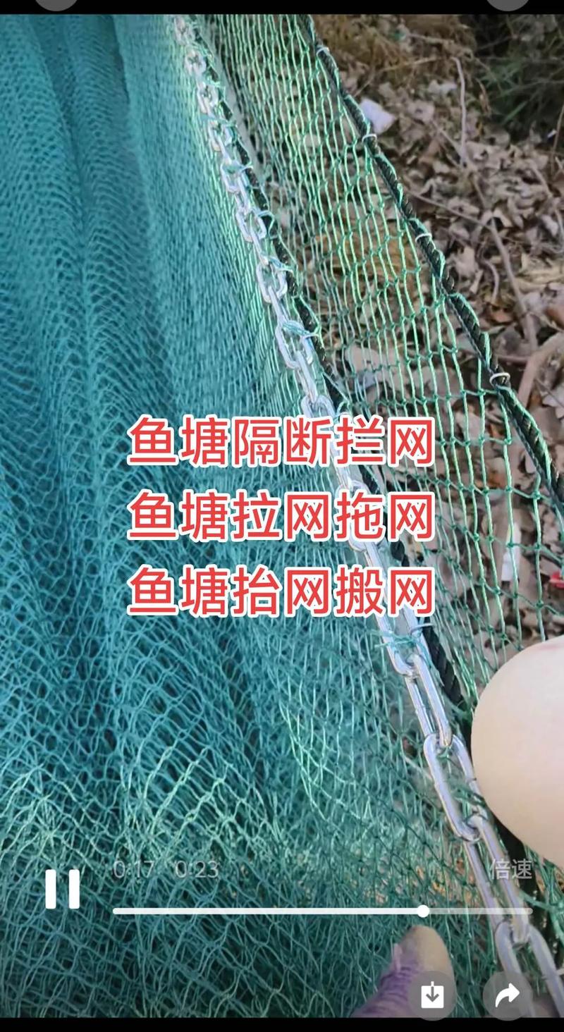 湖泊围网鳊鱼养殖技术要点有哪些？-图1