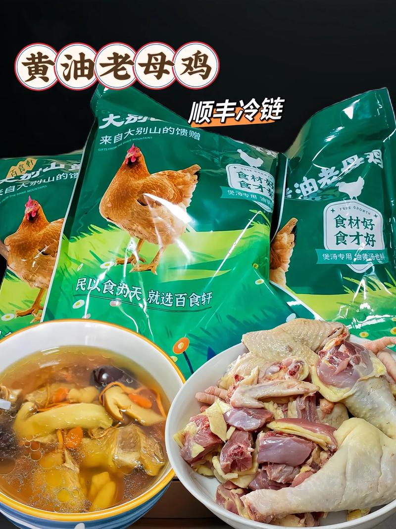 养殖土鸡全套技术光盘内容有哪些?-图1 养殖土鸡全套技术光盘内容有哪些?-图1