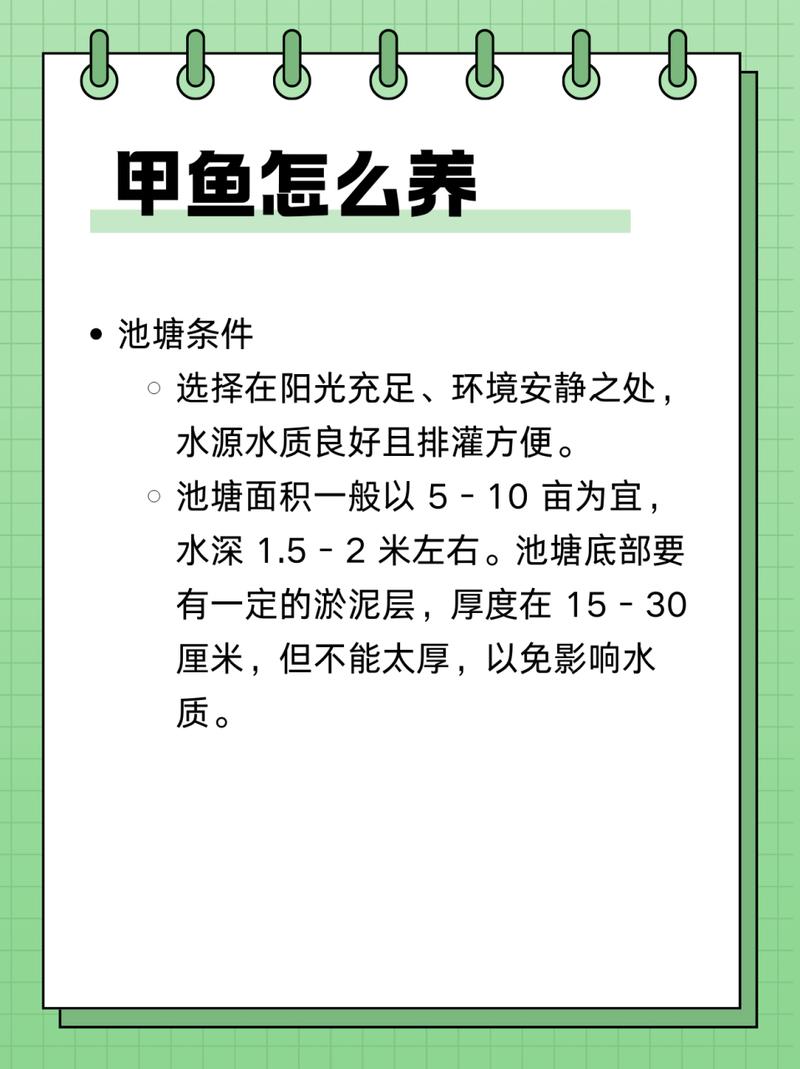 冬季甲鱼养殖技术要点有哪些？-图2