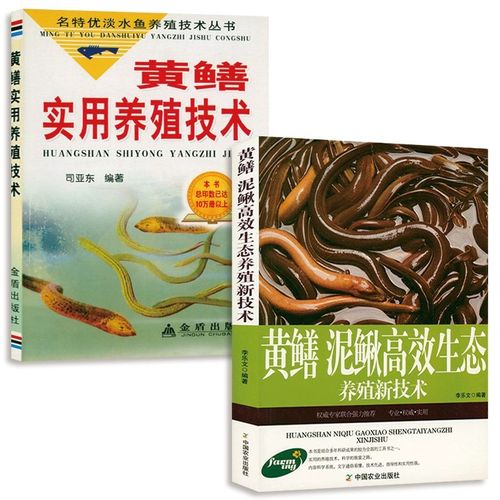 泥鳅黄鳝混养关键技术有哪些？-图1