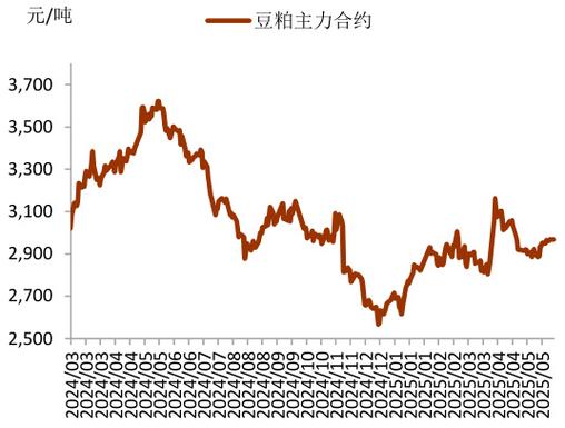 安徽巢湖豆粕今日价格多少？-图2