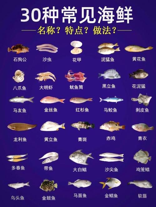 海鲜养殖什么品种最赚钱？-图3