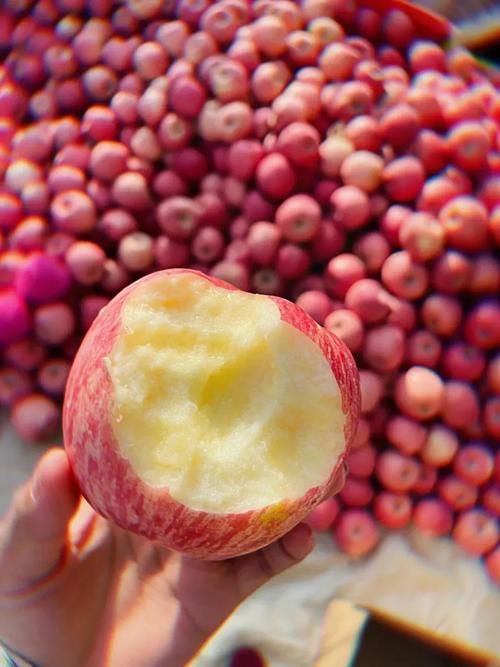 苹果水果品种有哪些？-图2