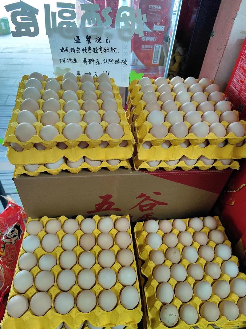 佳木斯鸡蛋今天多少钱一斤？-图1