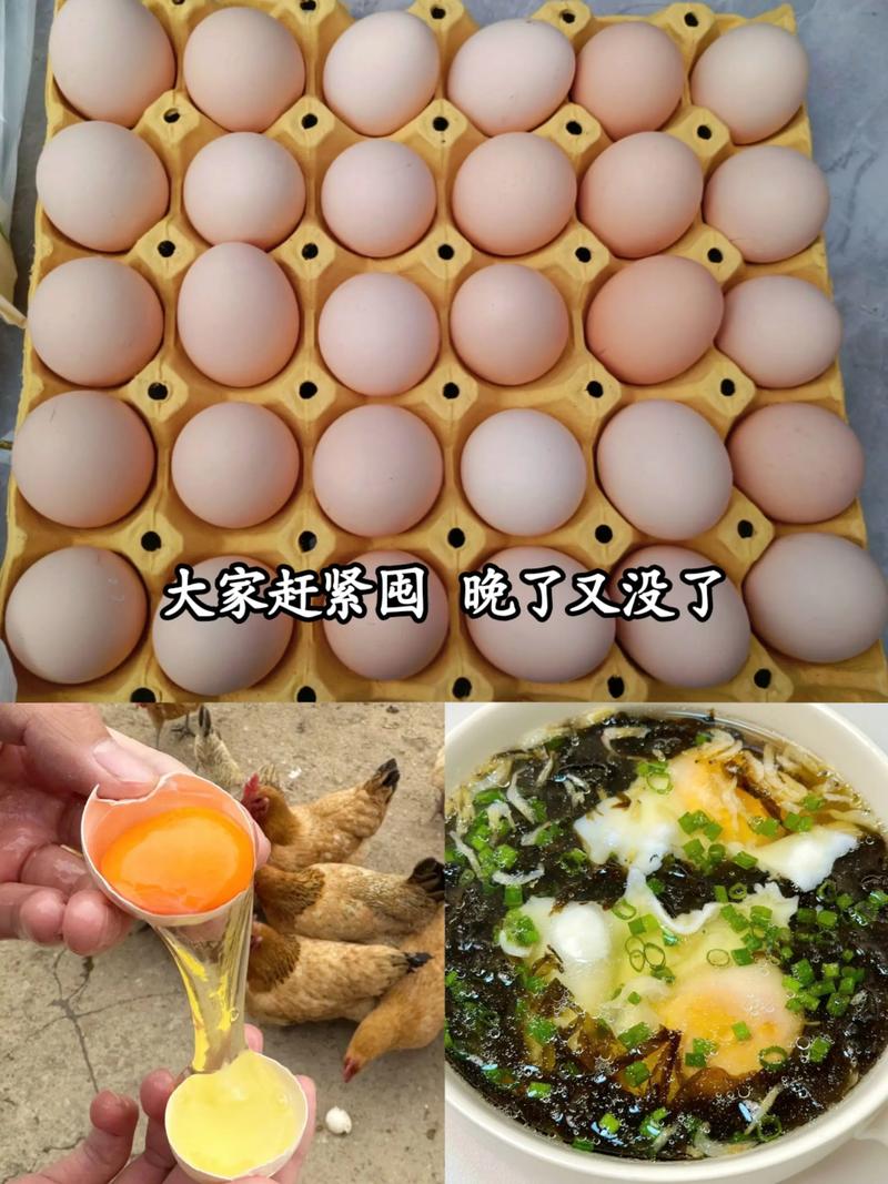 辛集今日鸡蛋价格最新行情如何？-图2