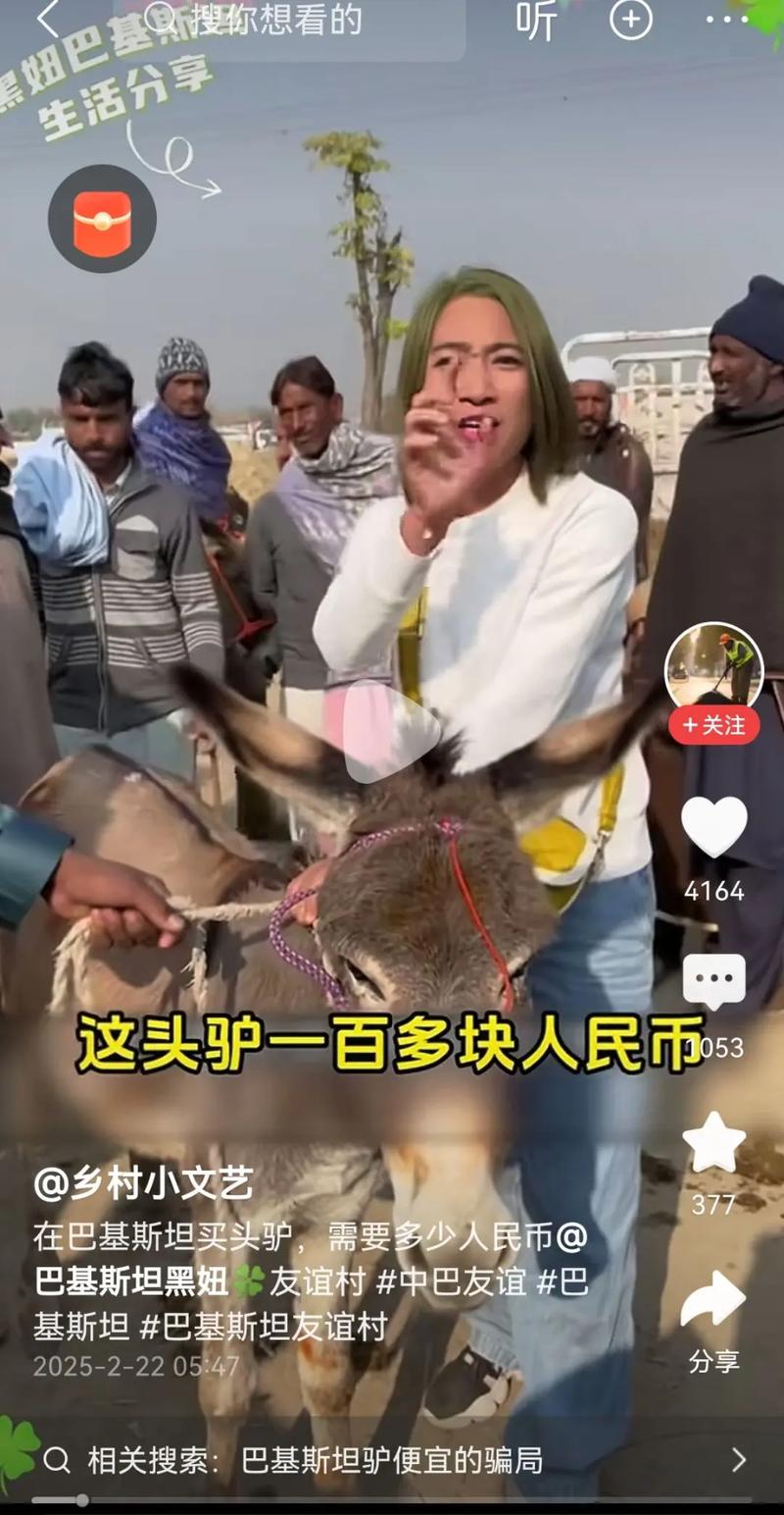 2025年山东驴价格会涨还是跌？-图2