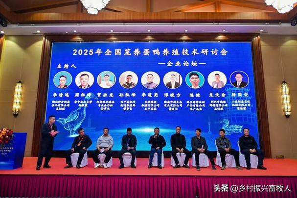 2025蛋鸭养殖技术有哪些新突破？-图1