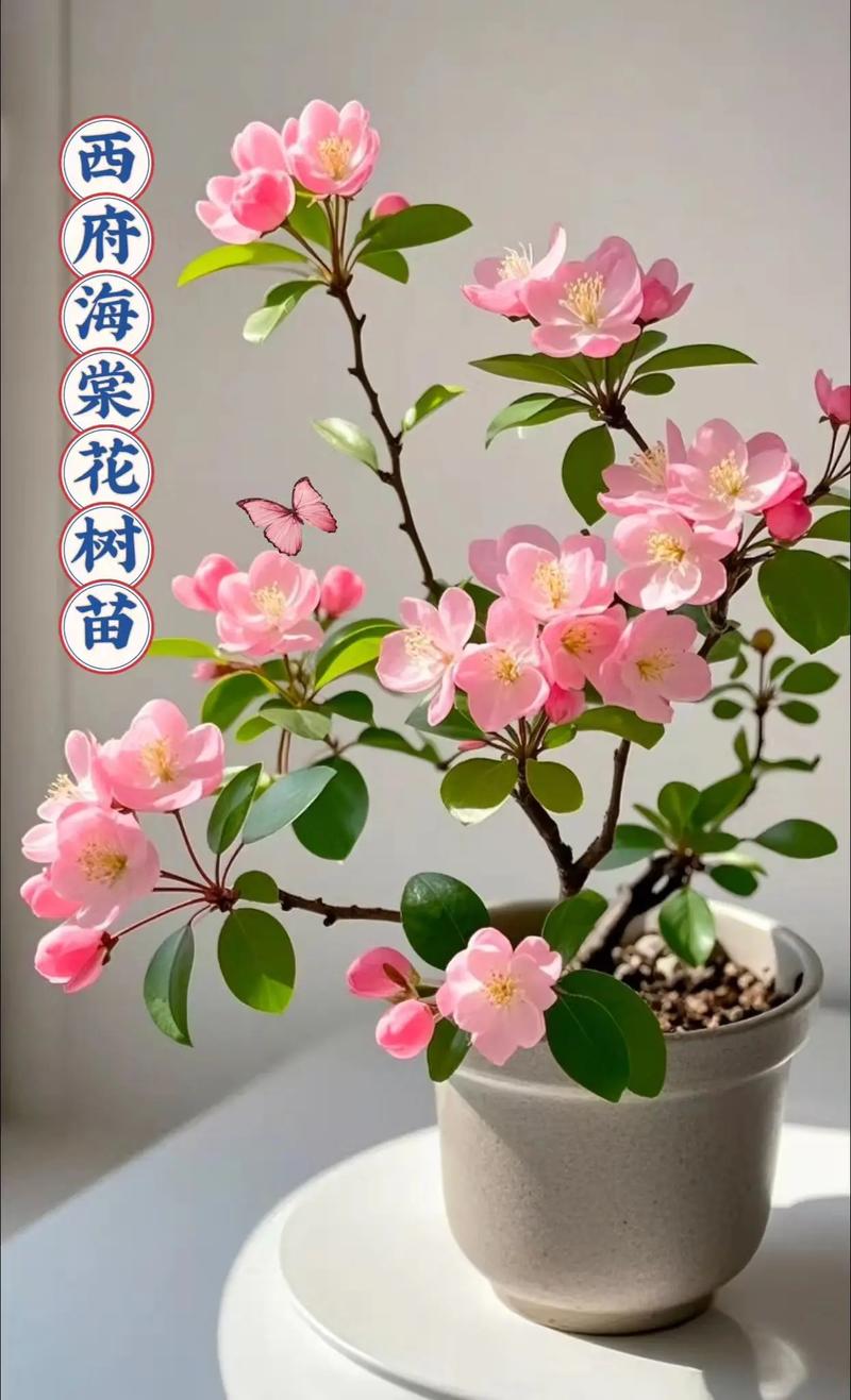 栽培什么花树品种赚钱-图2