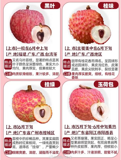 广东荔枝品种知多少？-图2