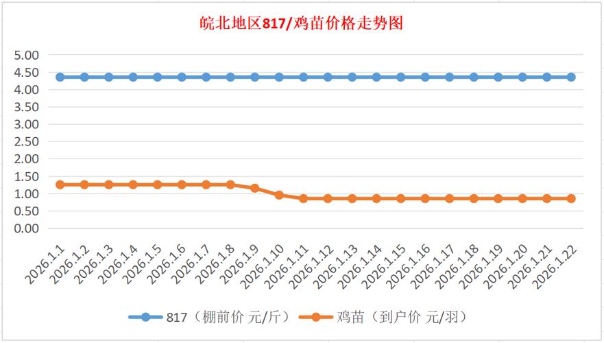 24皖北麻鸡价格行情如何？-图2