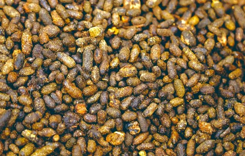 动物粪便自然发酵技术如何高效利用？-图3