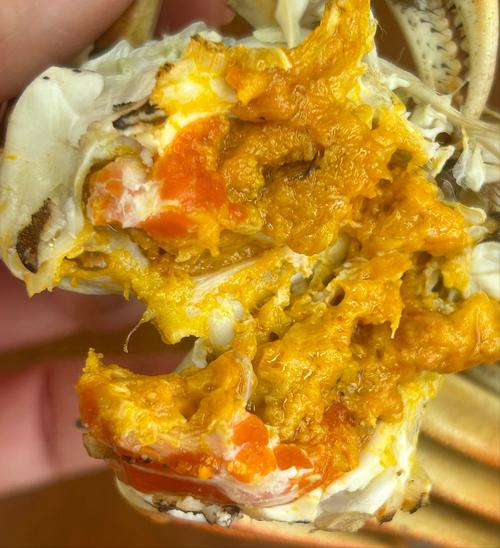 天津今日海蟹价格多少钱一斤?-图2 天津今日海蟹价格多少钱一斤?-图2