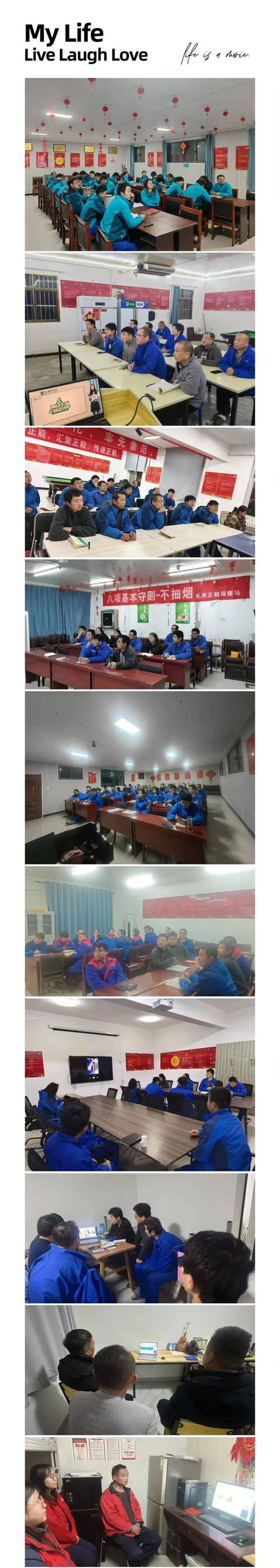 母猪养殖培训技术视频-图1