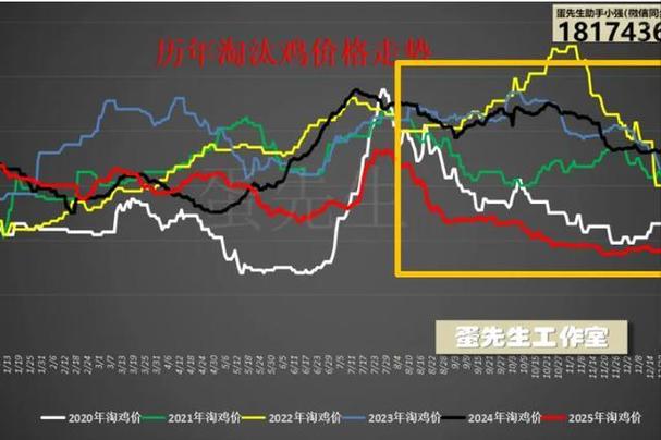 2025苗鸡价格会涨还是跌？-图2